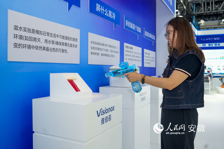 就“屏”实力！合肥新站高新区“新”品亮相盛会